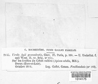 Image Associated With the Occurence